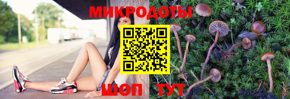 Псилоцибиновые грибы Psilocybine cubensis  Вход с VPN  Лабытнанги  Галлюциногенные грибы мухоморы 